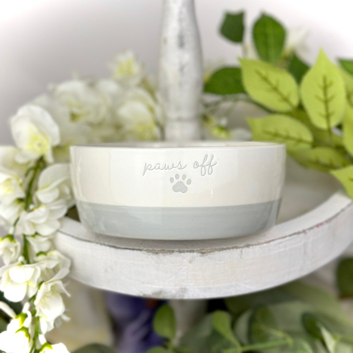 Pet Bowls and More
