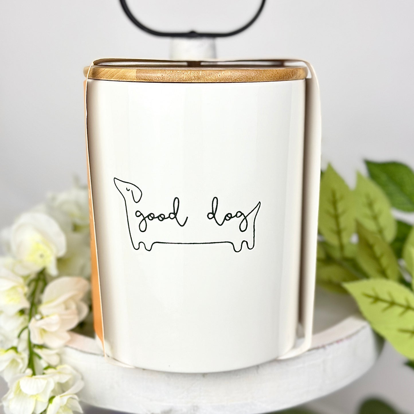 Pet Bowls and More