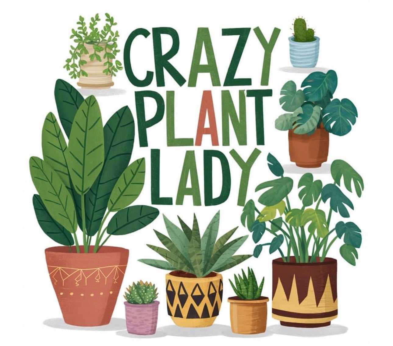 Crazy Plant Lady 20 oz skinny