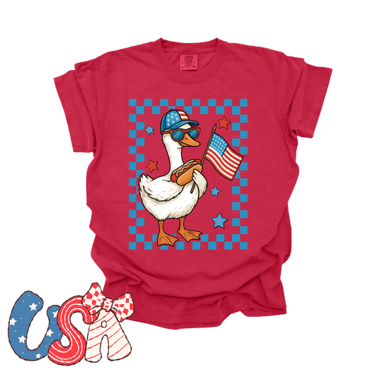 Patriotic Boy Goose